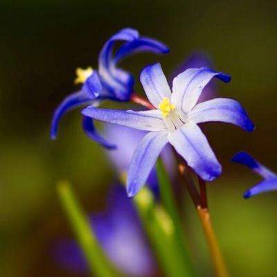 尊龙ag旗舰厅登录截图