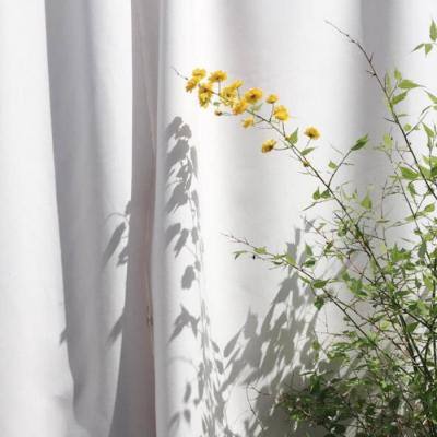 b体育官方体育appapp下载